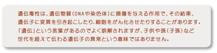 遺伝毒性とは、遺伝物質(DNAや染色体)に損傷を与える作用を言い、その結果、がんなどを引き起こす可能性があります。「遺伝」という言葉があるのでよく誤解されますが、子供や孫(子孫)などにまで遺伝して影響を及ぼす作用のことではありません。