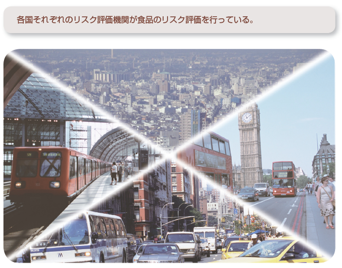 各国それぞれのリスク評価機関が食品のリスク評価を行っている。